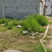 زمین خانه سرا خردونکلا|فروش زمین و ملک کلنگی|زرگرشهر, |دیوار