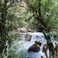 زمین  بر خط کپرگه