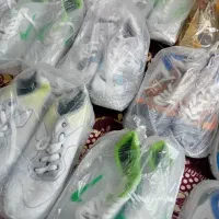 کفش اسپرت|کیف، کفش، کمربند|اهر, |دیوار