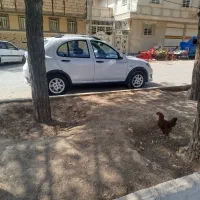 کوییک