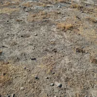 زمین مسکونی ۱۷۰ متر.قواره.