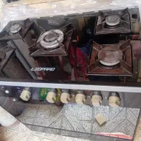 اجاق‌گاز درحدنو