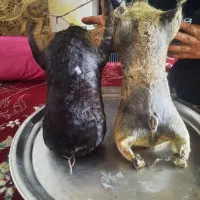 هیزه|ظروف نگهدارنده، پلاستیکی، یکبارمصرف|کوهدشت, |دیوار