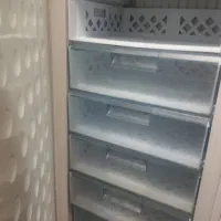 یخچال فریزر ایستاده|یخچال و فریزر|رزن, |دیوار