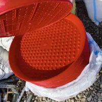 سینی یه روزه پرنده مرغ و دونخوری بوقلمون