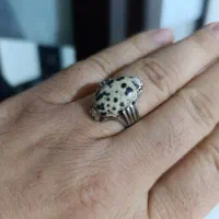 انگشترحجرالمراد|کلکسیون اشیاء عتیقه|اهواز, کوی شاهد|دیوار