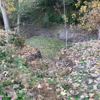 اجاره زمین ۲هکتاری در روستا شکتا ساری سرمایه گذاری|اجارهٔ دفتر صنعتی، کشاورزی، تجاری|ساری, |دیوار