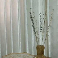 تنوع در همه چیز