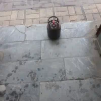 پیک نیک
