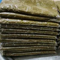 قورمه سبزی سرخ شده|خوردنی و آشامیدنی|تهران, مختاری|دیوار