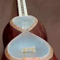 تار قدیمی ۲۰ ساله استاد کاووسی