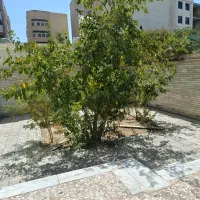 اجاره منزل مسکونی(عسگریه)|اجارهٔ خانه و ویلا|اصفهان, پروین|دیوار