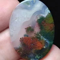 شجرهای پاییزی درجه یک