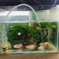 ماهی گوپی و ماهی تزیینی