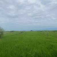 زمین در محدوده سیمرغ