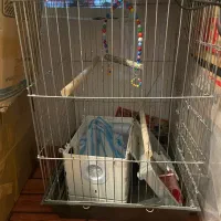 قفس پرنده سالم سالم