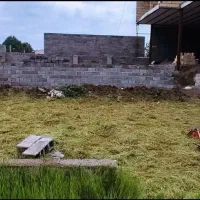 علف زنی ،سمپاشی ، هرس ،باغبانی