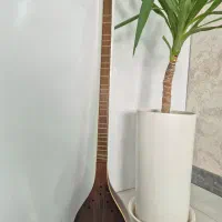 سه تار