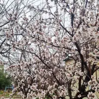 زمین-کارگاهی-ضایعاتی