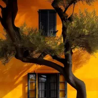 خریدار-خانه-ویلایی