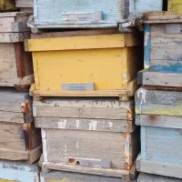 کندو دست دوم تر تمیز