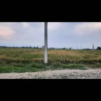 فروش-زمین-دشتی-نزدیک-به-بافت