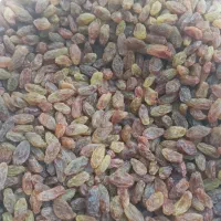 کشمش|خوردنی و آشامیدنی|یاسوج, |دیوار