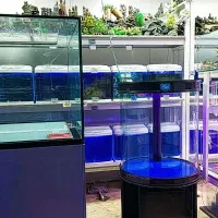اکواریوم استوانه ابشور از قم|ماهی|ری, بازار آهن|دیوار