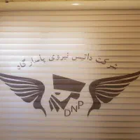 راننده با خودروی سواری شخصی
