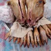 پاک کردن کله پاچه