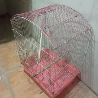 قفس عروس هلندی