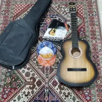 گیتار دیاموند بالوازم