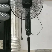 پنکه نونو|پنکه و تصفیه‌کنندهٔ هوا|کاشان, باغ فین|دیوار