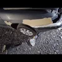 زانتیا مدل ۸۶ تمام رنگ بخاطر زیبایی همچی به شرط|خودرو سواری و وانت|جیرفت, |دیوار