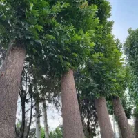 راهنمایی در مورد مشکلات ماورایی