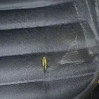 صندلی گردان|صندلی و نیمکت|اراک, |دیوار