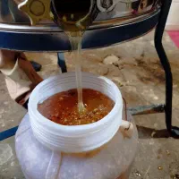 عسل طبیعی گَوَن|خوردنی و آشامیدنی|اندیکا, |دیوار