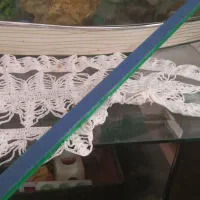 آکواریوم|ماهی|باسمنج, |دیوار