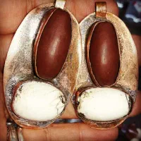 انگشتر و سر کتاب فال فقط قرآن|جواهرات|دزفول, |دیوار