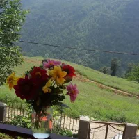 ویلا کوهستانی وجنگلی افراتخته
