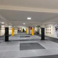 آموزش حرفه ای تکواندو
