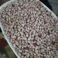 لوبیا چیتی|خوردنی و آشامیدنی|اقبالیه, |دیوار