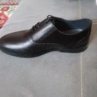 کفش مجلسی|کیف، کفش، کمربند|یزد, |دیوار