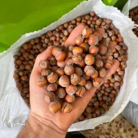 فندق خام ایرانی