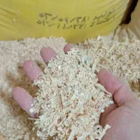 پوشال چوب روسی