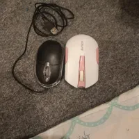 موس