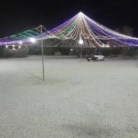 نور پردازی نخل|ریسه و چراغ تزئینی|بندرعباس, |دیوار