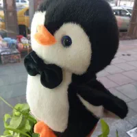 پنگوئن گوگولی