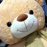 خرس|اسباببازی|هرسین, |دیوار