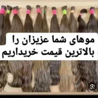 خریدار موهای خام ورنگی
